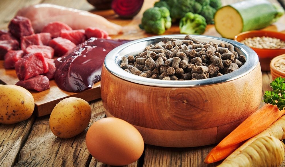 Top Protein Sources for Your Dog: Boosting Your Pet’s Health Naturally