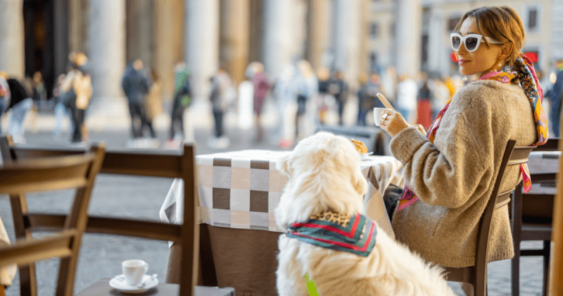 20 Best Dog Breeds for City Living