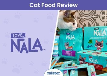 Love, Nala Cat Food Review 2024: A Detailed Look