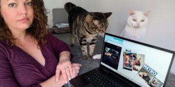 When Breeding Becomes Cruel: The Problem with Designer Cats