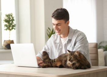 Pet Telehealth: How Does It Work for Your Cat? Vet Approved Facts & FAQ