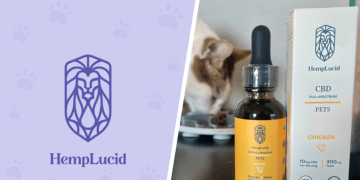 HempLucid Organic Full-Spectrum CBD for Pets Review 2024: My Kitten, Makoa’s Experience