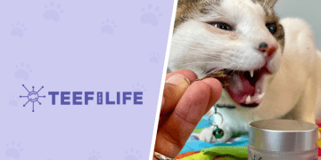 TEEF for Life Protektin30™ Review 2024: Our Hands-On Experience