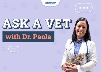 Ask Dr. Paola – Monday December 23, 2024