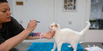 How to Do A Health Check At Home: Dr. Karyn’s Detailed Guide