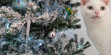 Have Yourself a Furry Little Christmas: Dr. Karyn Gift Wraps Her Cats