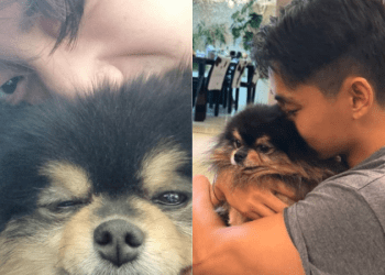 BTS Member V Mourns Loss of Beloved Dog on Instagram