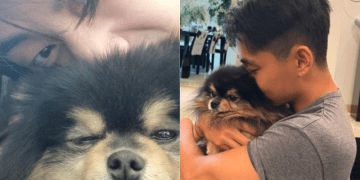 BTS Member V Mourns Loss of Beloved Dog on Instagram