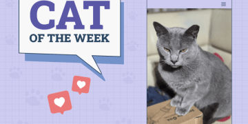 Catster Photo Contest: Cats of the Week Winners (Jan 23, 2025)
