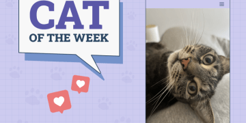 Catster Photo Contest: Cats of the Week Winners (Jan 9, 2025)