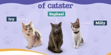 Things Our Cats Hate: The Wednesday Cats of Catster