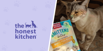 The Honest Kitchen Cat Food Review in 2025: Pros, Cons, Final Verdict