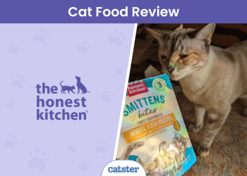 The Honest Kitchen Cat Food Review in 2025: Pros, Cons, Final Verdict