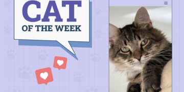 Catster Photo Contest: Cats of the Week Winners (Feb 13, 2025)