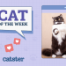 Catster Photo Contest: Cats of the Week Winners (Feb 20, 2025)