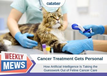 Artificial Intelligence Takes on Feline Cancer: How New Technology Is Helping Treat Common Cat Cancers