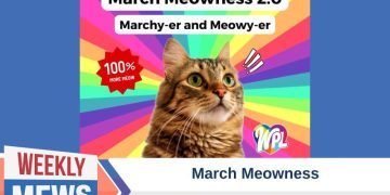 March Meowness – Redefining Library Engagement in Massachusetts