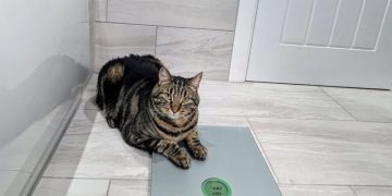 It’s Crunch Time, Cyril: A Weight Loss Journey (Part 2)