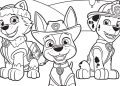 Best PAW Patrol Coloring Pages