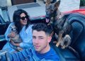 Nick Jonas Dogs: Breeds, Ages and More