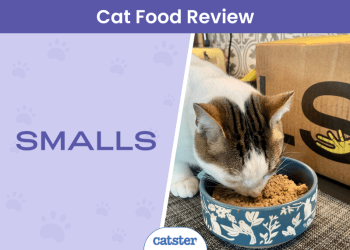 Smalls Cat Food Review 2025: Pros, Cons & Final Verdict