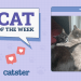 Catster Photo Contest: Cats of the Week Winners (Mar 27, 2025)