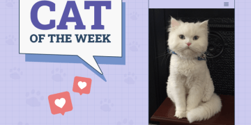 Catster Photo Contest: Cats of the Week Winners (Mar 20, 2025)
