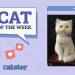 Catster Photo Contest: Cats of the Week Winners (Mar 20, 2025)