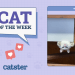 Catster Photo Contest: Cats of the Week Winners (Mar 6, 2025)