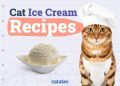 5 Homemade Cat Ice Cream Recipes (Vet-Approved)