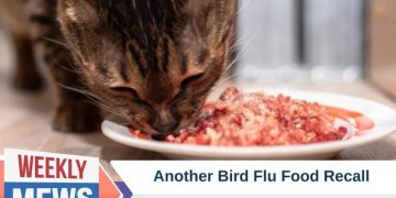 Another Bird Flu Food Recall – Is Raw Feeding Putting Your Cat’s Life At Risk?