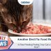 Another Bird Flu Food Recall – Is Raw Feeding Putting Your Cat’s Life At Risk?