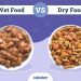 Wet vs. Dry Cat Food: Vet-Approved Facts & Key Differences