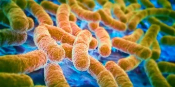 E. Coli Infection In Dogs: Symptoms, Causes, & Treatments