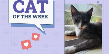 Catster Photo Contest: Cats of the Week Winners (April 3, 2025)