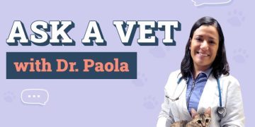 Ask Dr. Paola – Monday April 28, 2025