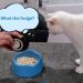 My Cats Try Tofu: A Litter Experiment