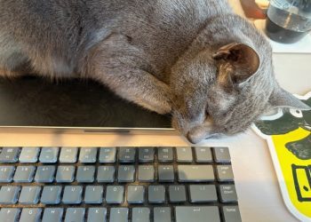 The Strange Case of Dr Jekyll and Mr Raphael