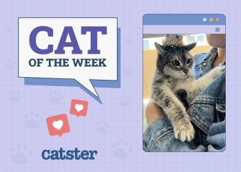 Catster Photo Contest: Cats of the Week Winners (May 08, 2025)