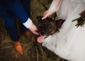 Virginia Couple Reschedules Wedding To Adopt Puppy