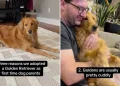 Video: First Time Dog Parents List Hilarious Reasons They Adopted Golden Retriever
