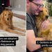 Video: First Time Dog Parents List Hilarious Reasons They Adopted Golden Retriever